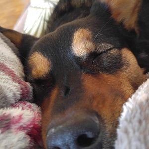 Meet your Posher, Ellie